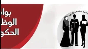 التسجيل في بوابة الوظائف الحكومية: خطوات البحث والتقديم على أنواع الوظائف المتاحة